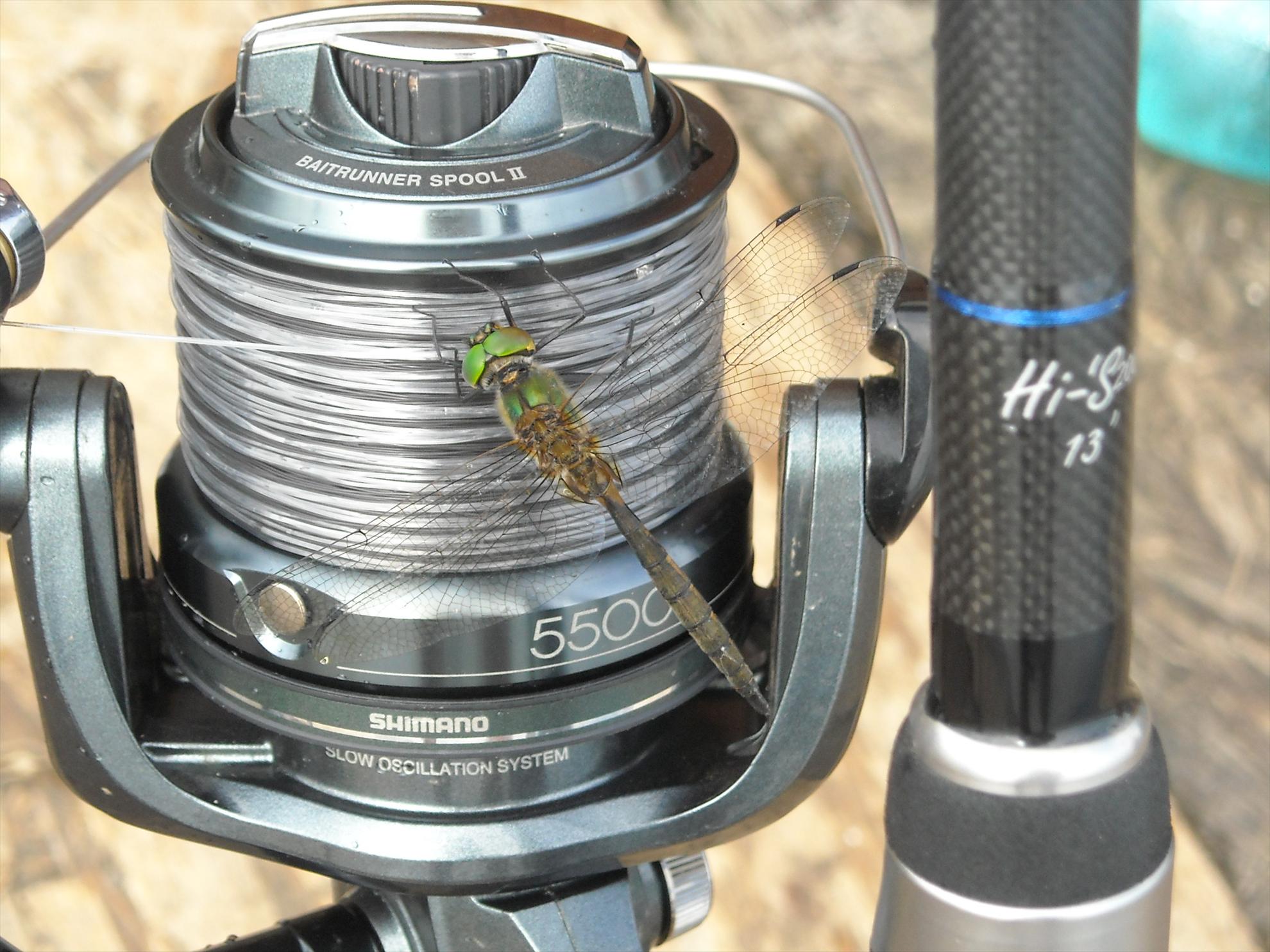 Senior Trophy (2) - 2010 - dscn5951.jpg